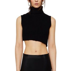Danielle Guizio Asymmetrical Ribbed Knit Turtleneck